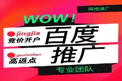 电商直播中的信息流代理策略及成功案例
